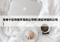 有哪个区块链开发的公司呢[做区块链的公司]